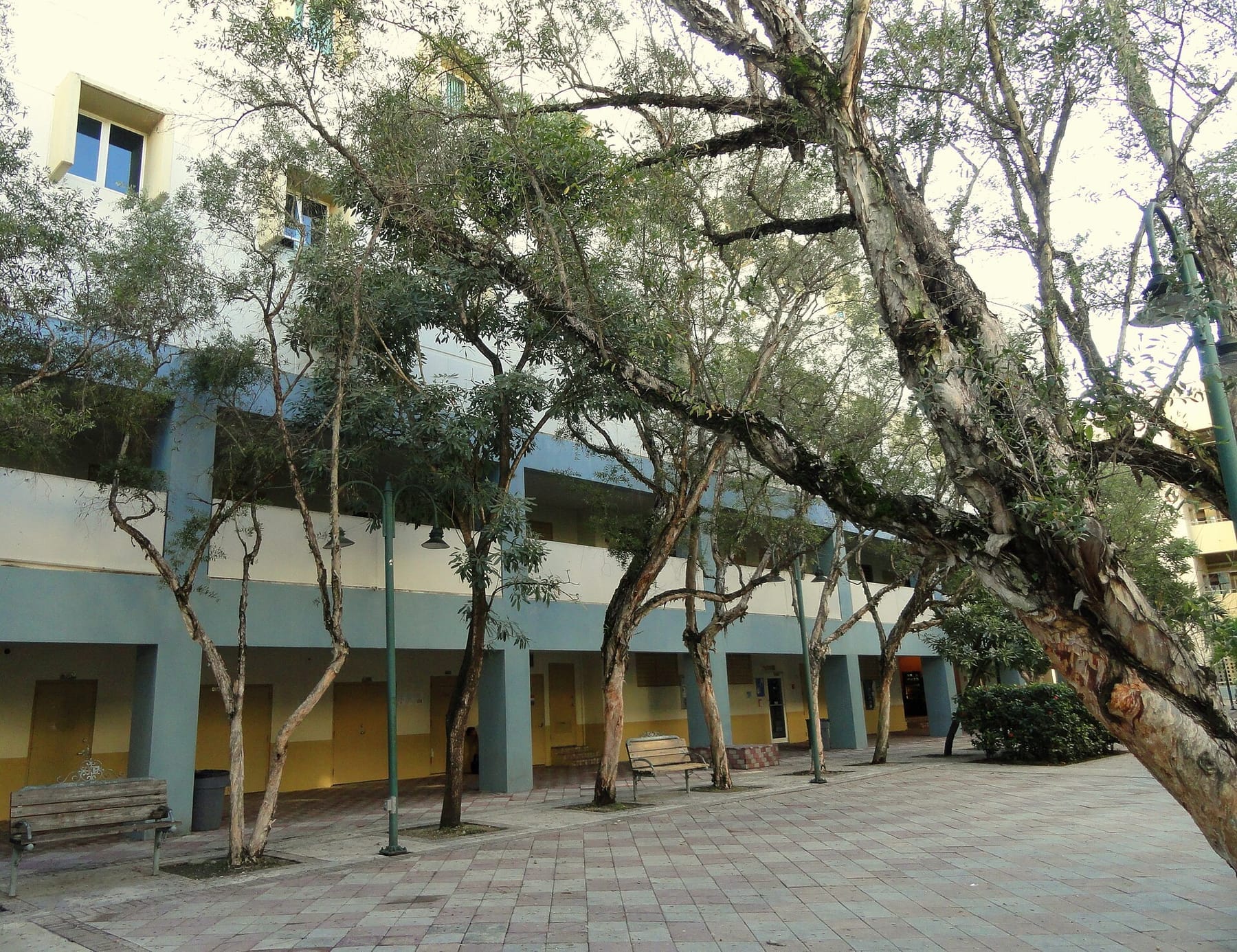 Classroom Pavilion - Polytechnic University of Puerto Rico - DSC07169 (photograph from the Wikimedia Commons category Polytechnic University of Puerto Rico)