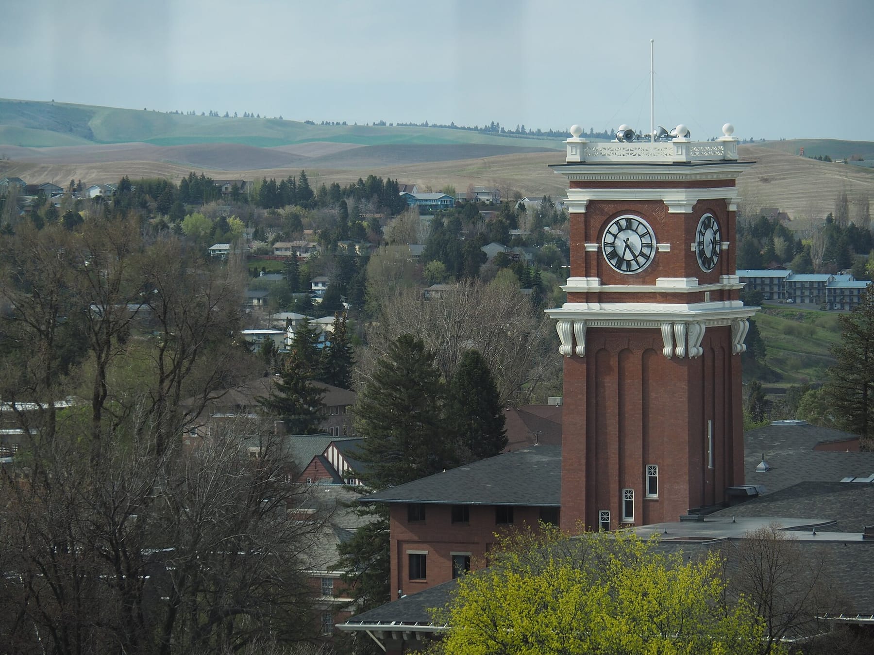 Bryan Hall Clock Tower from Webster Hall 2017 (photograph from the Wikimedia Commons category Washington State University)